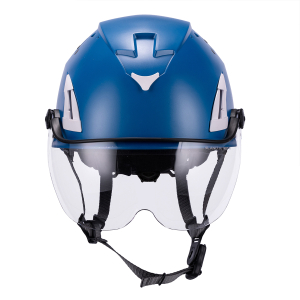 Forestry safety helmet