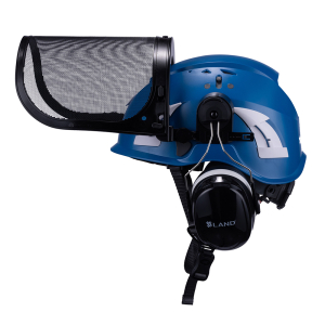 Forestry safety helmet