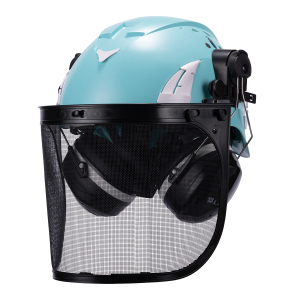 Forestry safety helmet
