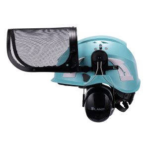 Forestry safety helmet
